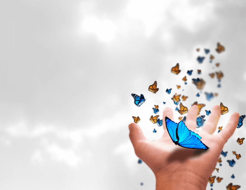 slideshow banner